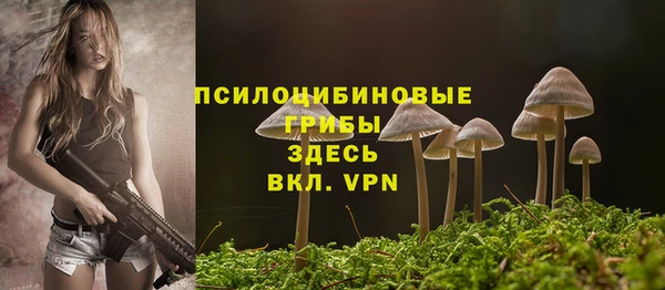 эйфоретик Волосово