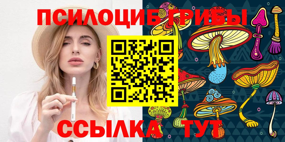 Галлюциногенные грибы Psilocybe Железноводск