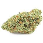 Шишки OG Kush  (Гидропоника, бошки) VHQ в Железноводске